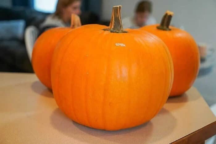 How to Keep Pumpkins from Rotting on Porch