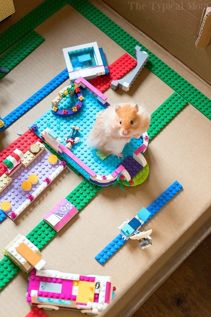 Mayka Toy Block Tape Review