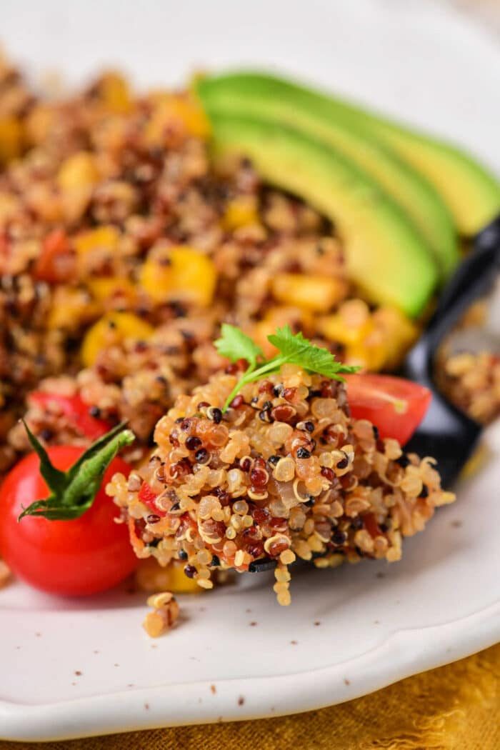 How to Cook Tri Color Quinoa