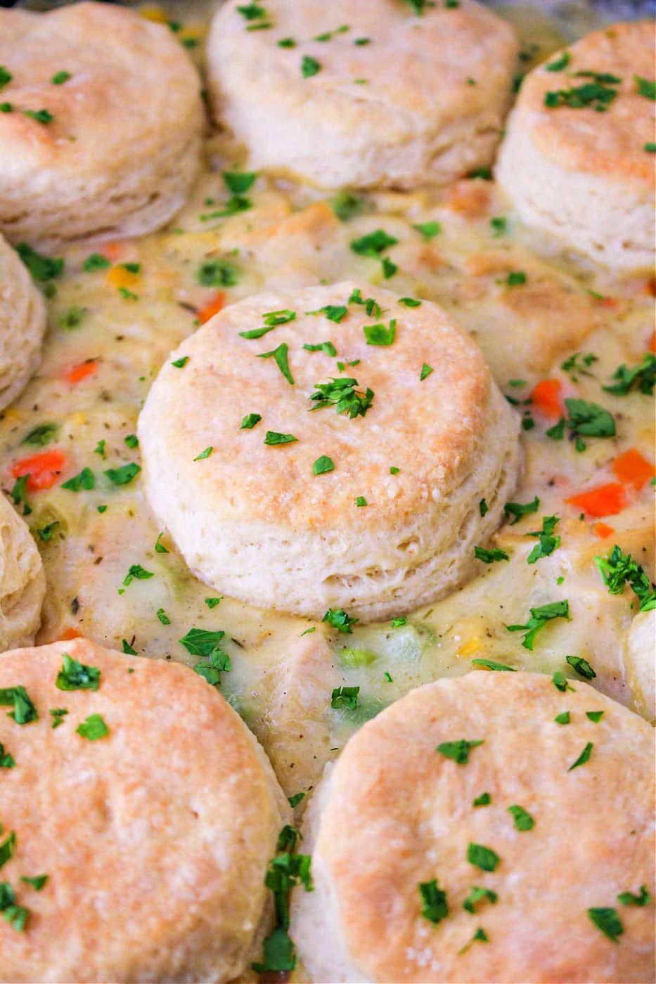 Turkey Pot Pie and Biscuits