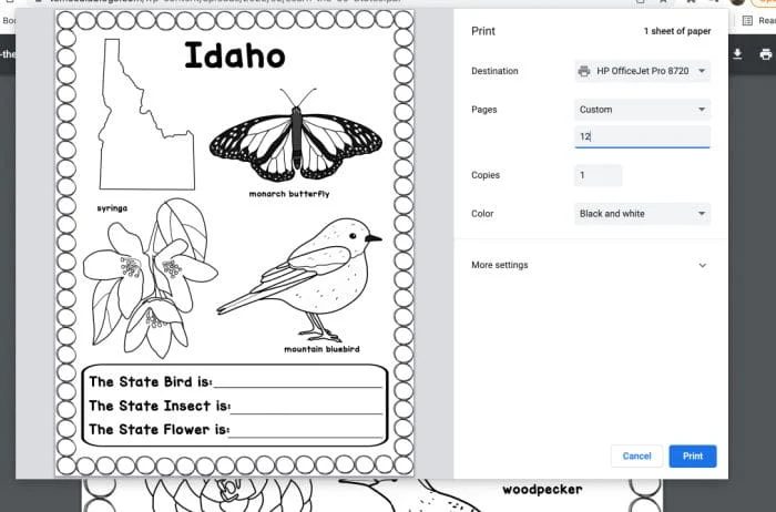 usa coloring book