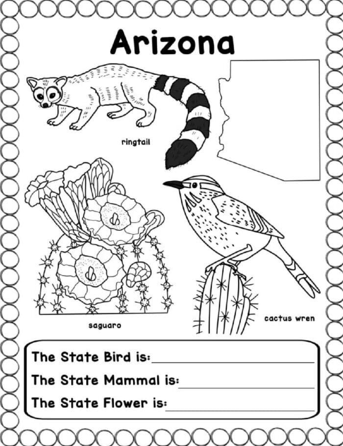 states coloring book