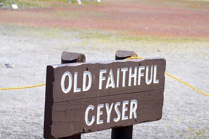 What to See in Yellowstone