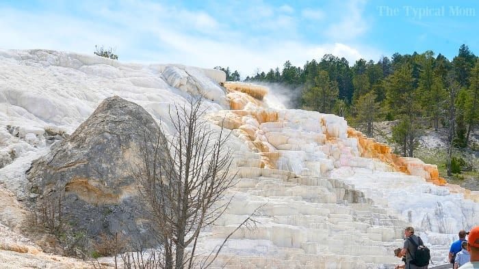 yellowstone hot springs 2