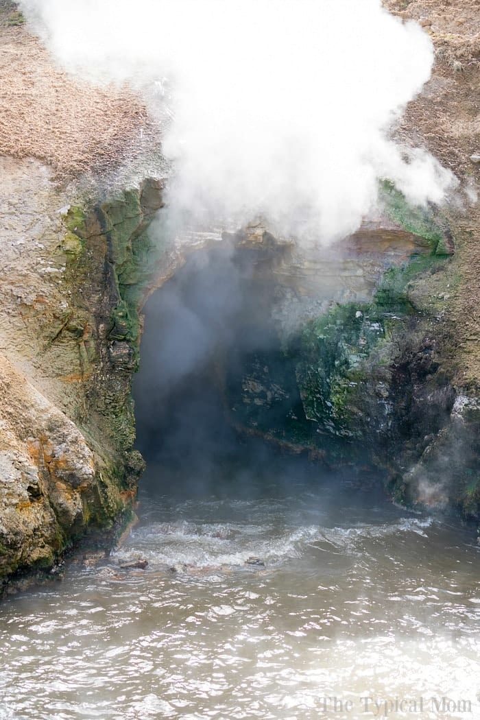 dragons mouth spring