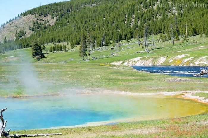 things to do in yellowstone