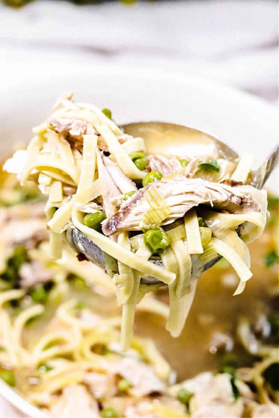 Chicken Noodle Soup and Whole Chicken