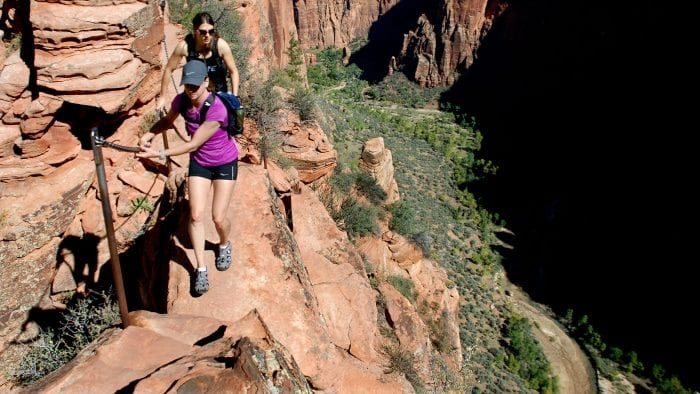 zion ponderosa