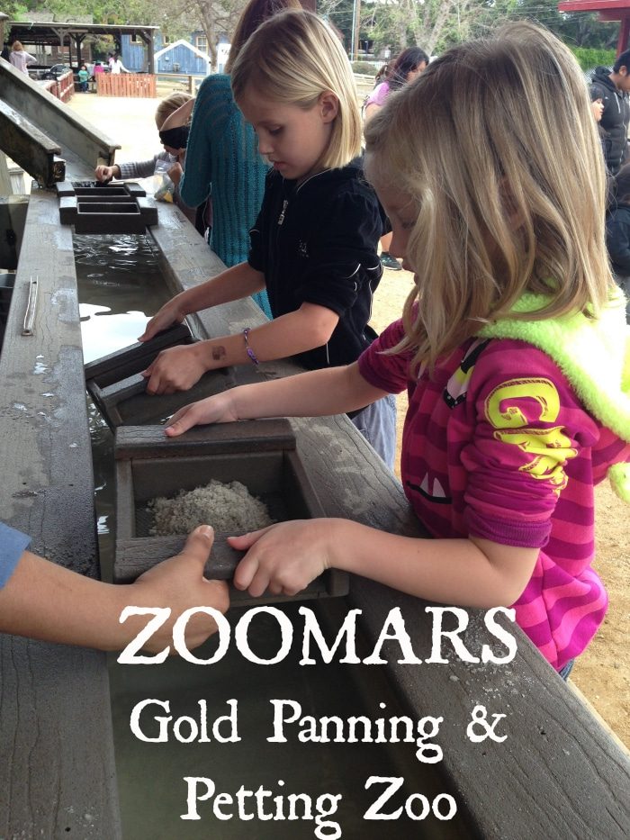 Zoomars Petting Zoo Review