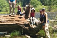 Yosemite Family Adventures