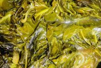 Soulful Slow Cooker Collard Greens