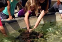 Long Beach Ocean Discovery