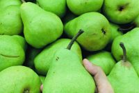Effortless Pear Slicing