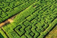 Temecula’s A-MAZE-ing Adventure at Big Horse