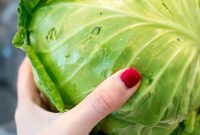 Unlock the Flavor of Cabbage