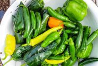 Exploring Green Pepper Varieties