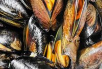 Unlock The Flavor Of Frozen Mussels