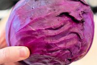 Vibrant Purple Cabbage Creations