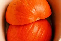 Crockpot Pumpkin Perfection