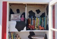 Build Your Own Little Free Library