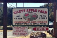 Oak Glen’s Apple Harvest Delights