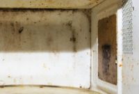 Sparkling Microwave, Lemon Fresh