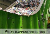 Plastic’s Second Life: The Journey of Recycled Bottles