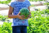 Tanaka Farms Sweet Melon Adventure