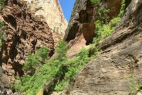 Zion: Utah’s Canyon Masterpiece