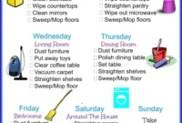 Master Your Home Cleaning