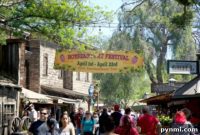 Your Guide to the Boysenberry Festival