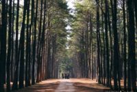 Discover Idaho’s Premier Campsites