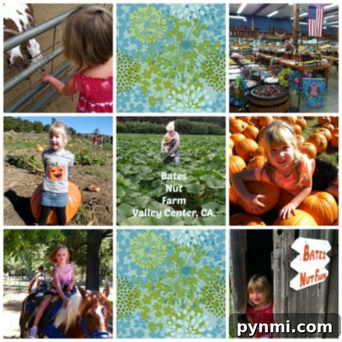 featured 3653