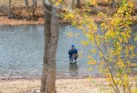 Things to do in Boise Idaho
