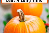 The Secret to Long-Lasting Porch Pumpkins
