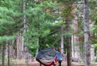 Wild Play for Young Explorers
