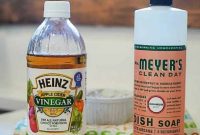 Banish Gnats Naturally