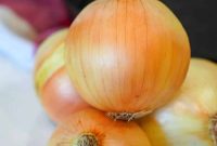 Mastering Onions A Guide to Every Type