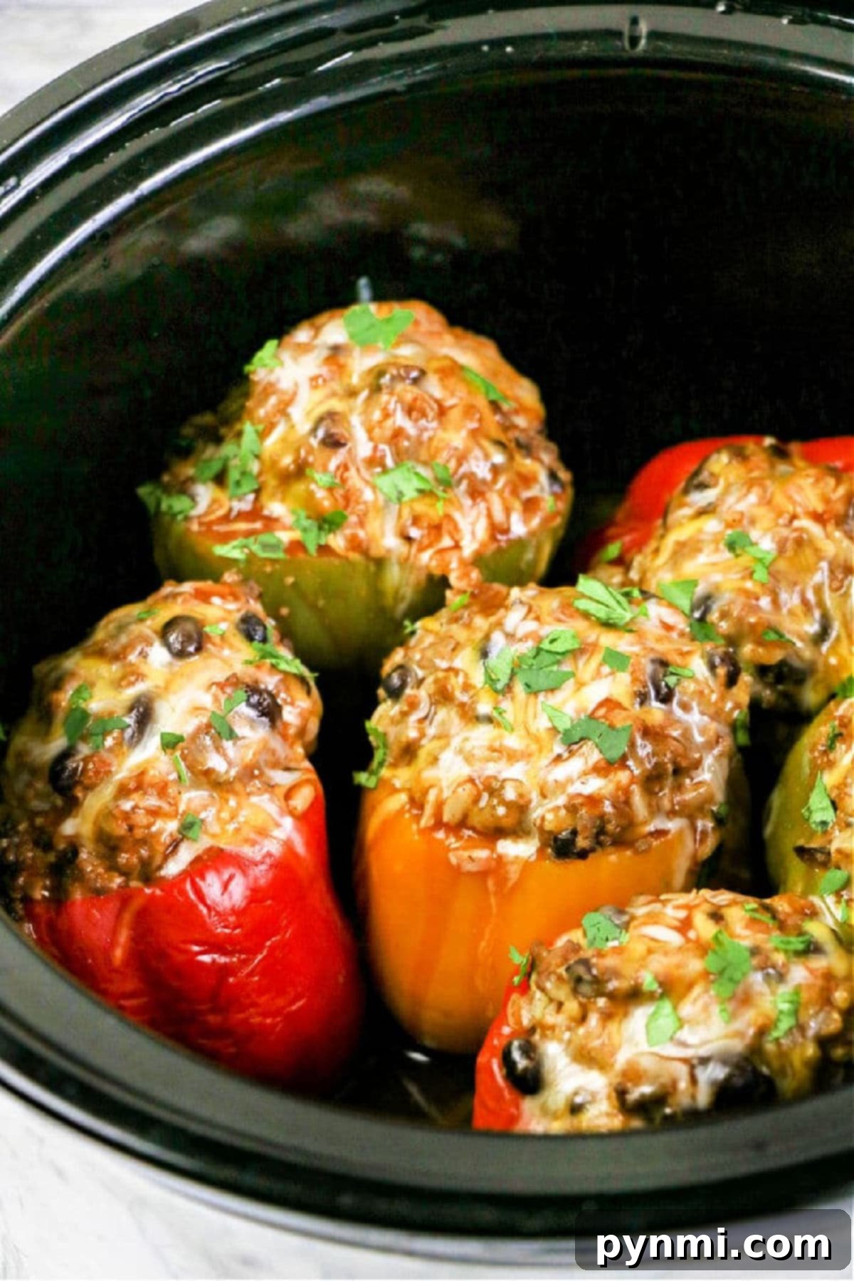 featured 81554