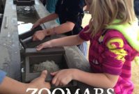 Zoomars Petting Zoo Uncovered