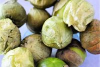 Unlock the Flavor of Tomatillos