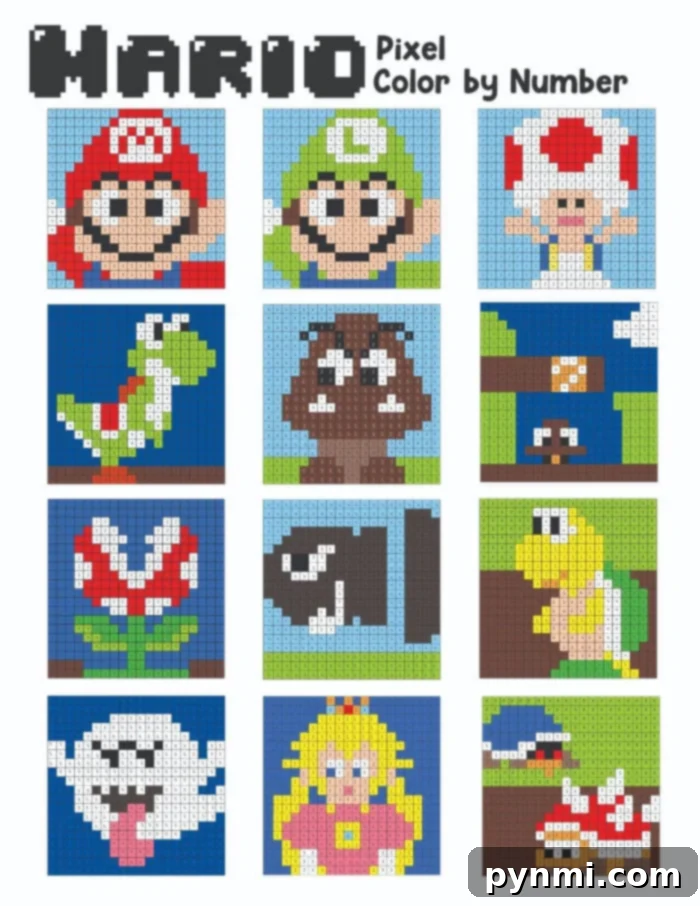 Pixel Perfect Mario Coloring 2 Super Mario Color by Number
