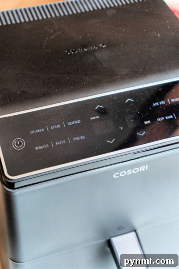 Dual Blaze Cosori Wifi Air Fryer Review