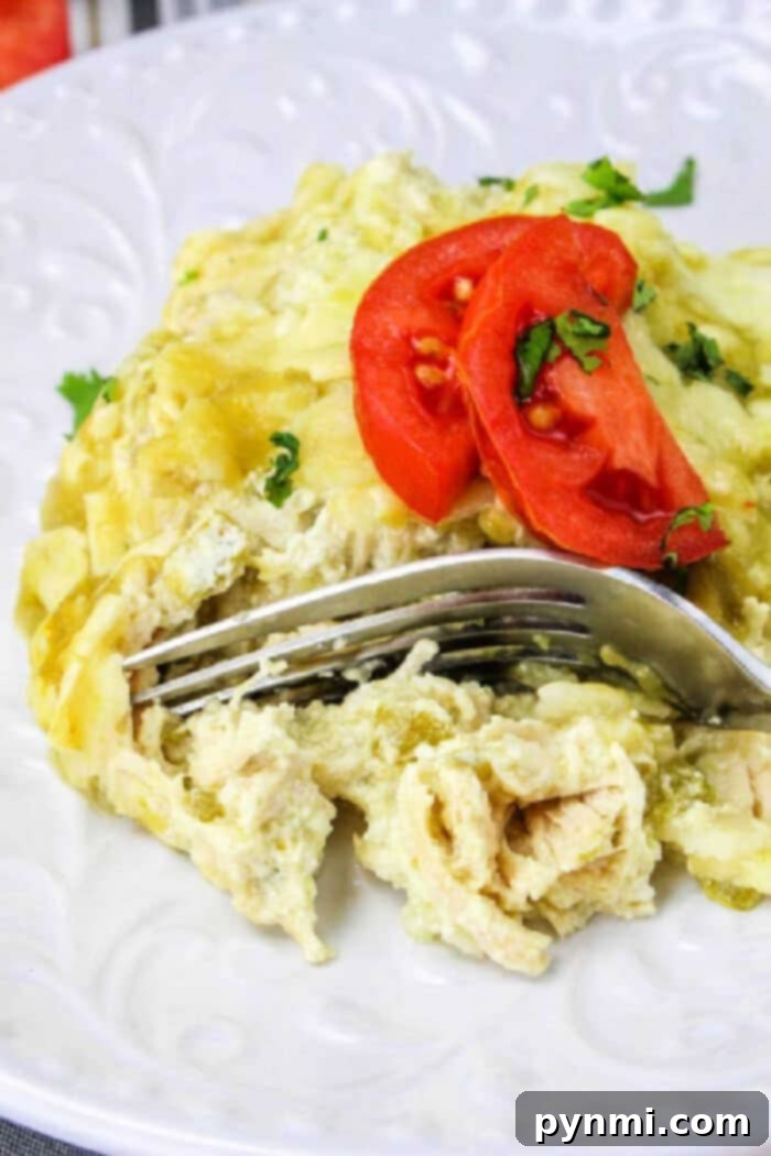 Chicken-Slow-Cooker-Enchiladas
