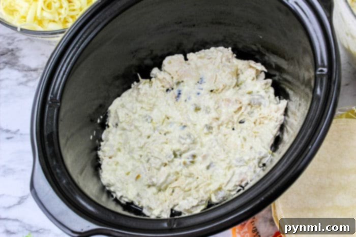 Slow Cooker chicken recipe