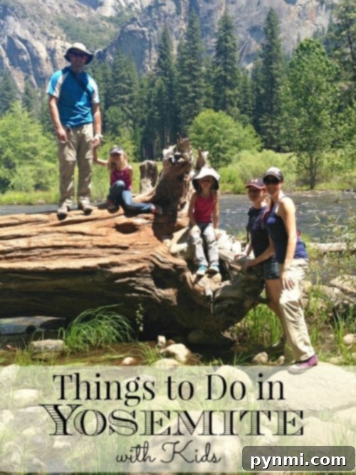 Family enjoying the scenic beauty of Yosemite Valley with El Capitan in the background, a perfect example of things to do in Yosemite with kids.
