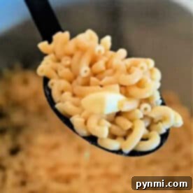 A spoonful of cooked elbow macaroni with a piece of butter, held over a pot of more macaroni—perfect for making creamy Ninja Foodi Butter Noodles.