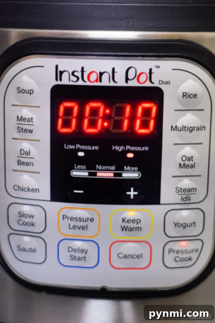 instant Pot