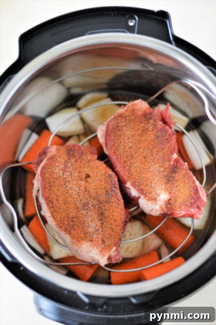 Frozen Steak in Pressure cooker with vegetables