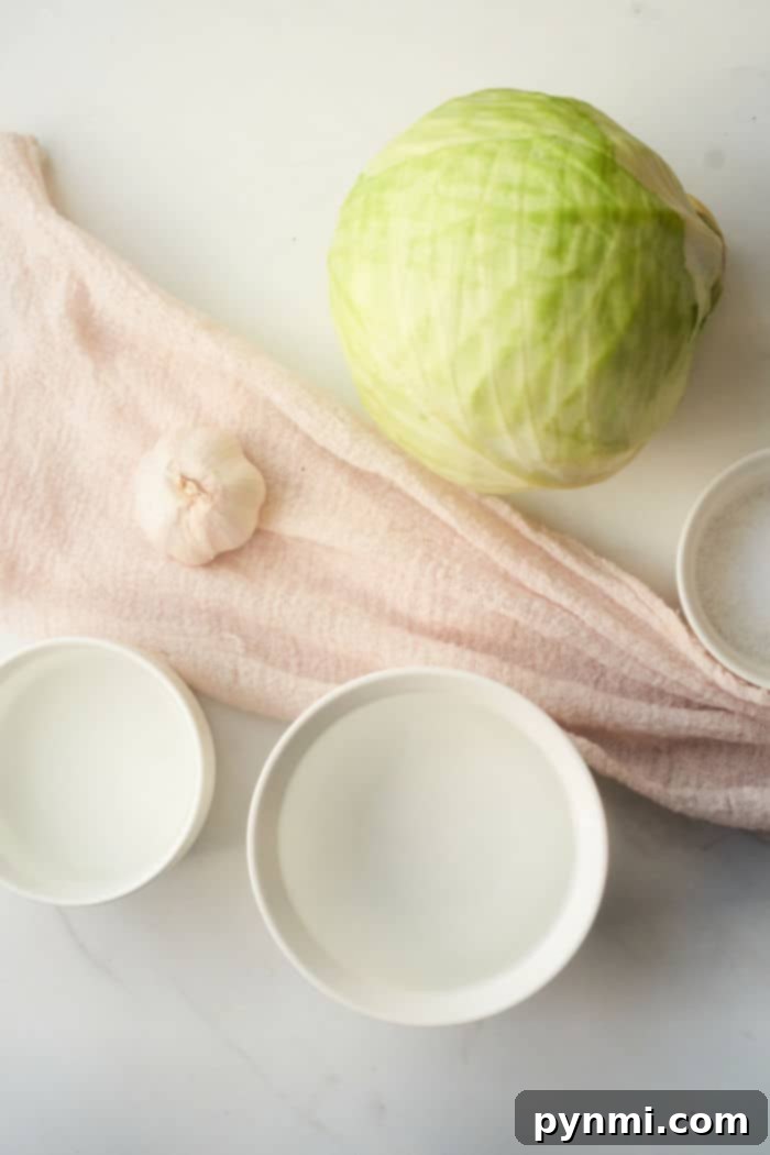 How to make quick sauerkraut recipe at home